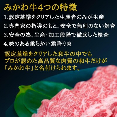A5等級みかわ牛　しゃぶしゃぶ・すき焼き用スライス肉　500g