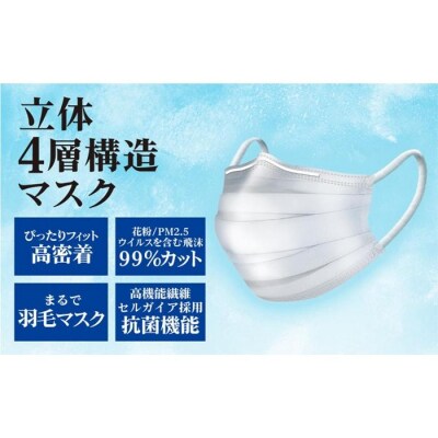 【訳あり】国産不織布マスク(小さめ)1ケース 5枚入×240袋