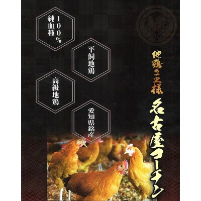 名古屋コーチンのスパイスカリー