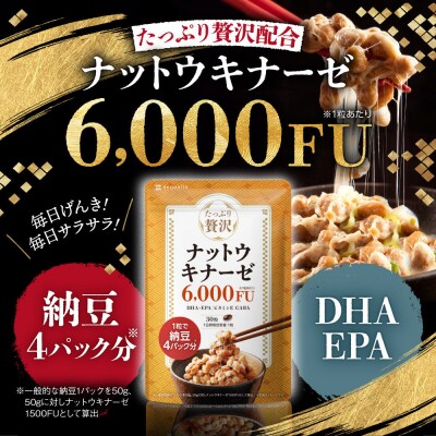 ナットウキナーゼ サプリメント たっぷり贅沢ナットウキナーゼ 1袋