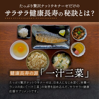 ナットウキナーゼ サプリメント たっぷり贅沢ナットウキナーゼ 1袋