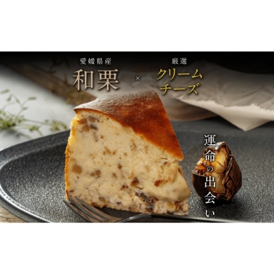 栗りん「栗とチーズが惹かれ合う運命のバスクチーズケーキ」5号