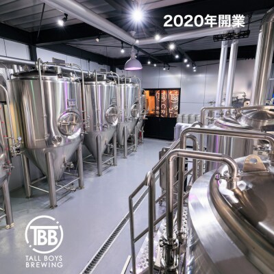 Tall Boys Brewing オリジナルクラフトビール詰め合わせ 24本