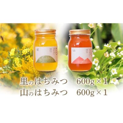 養蜂研究所が提供する「(井上養蜂) 国産 山のはちみつ 里のはちみつ定番セット」まろやか濃厚蜂蜜