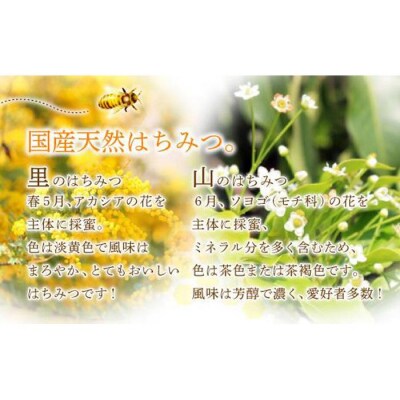 養蜂研究所が提供する「(井上養蜂) 国産 山のはちみつ 里のはちみつ定番セット」まろやか濃厚蜂蜜