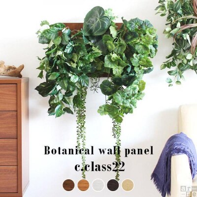 Botanical c.class 22　ホワイトウッド