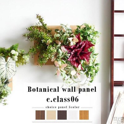 Botanical c.class 06　北欧チーク