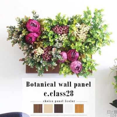 Botanical c.class 28　ナチュラル