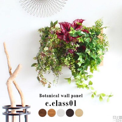 Botanical c.class 01　ダークブラウン