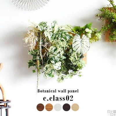 Botanical c.class 02　ホワイトウッド