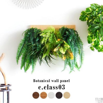 Botanical c.class 03　ナチュラル