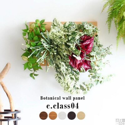 Botanical c.class 04　ナチュラル