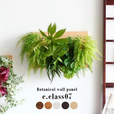 Botanical c.class 07　ホワイトウッド