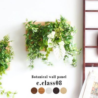 Botanical c.class 08　ダークブラウン