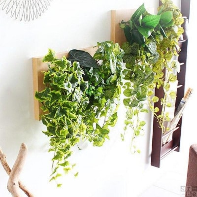 Botanical c.class 09　ダークブラウン