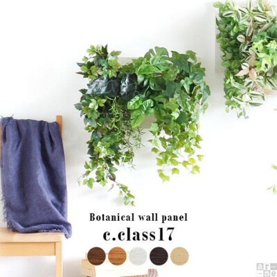 Botanical c.class 17　ナチュラル