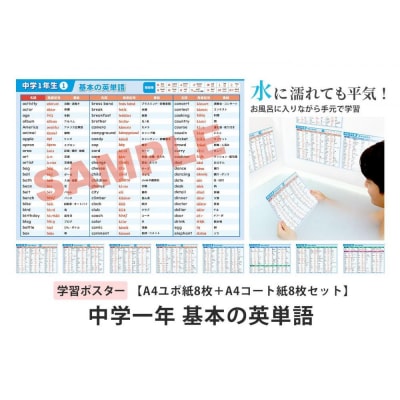学習ポスター　英語　中学一年　基本の英単語【A4ユポ紙8枚+A4コート紙8枚セット】
