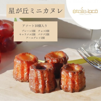 【星が丘ミニカヌレ アソートセット10個入り】フランスの焼き菓子
