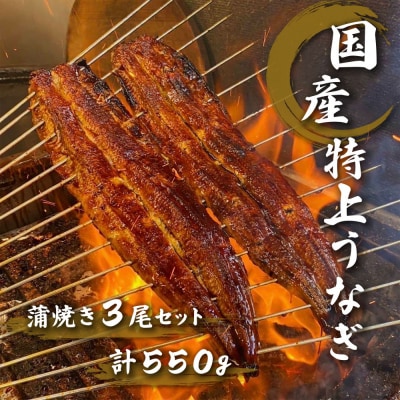 名古屋の老舗卸直営!手焼き国産鰻蒲焼き3尾セット計550g