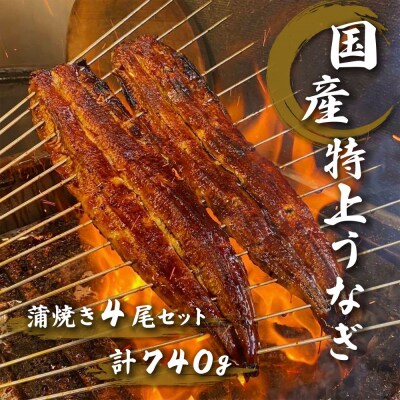 名古屋の老舗卸直営!手焼き国産鰻蒲焼き4尾セット計740g