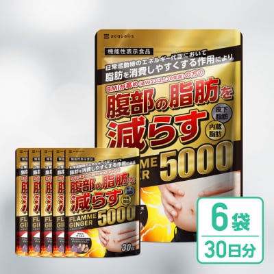 脂肪を消費しやすくする ブラックジンジャー サプリメント フラムジンジャー 6袋