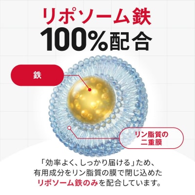 ミネラルベース 鉄 サプリ リポソーム ミネラルサプリメント 1袋