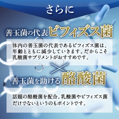 乳酸菌サプリメント 3袋