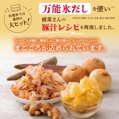 加藤家のまごころごはん まごころ豚汁10袋　加藤綾菜 豚汁