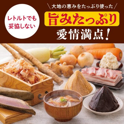 加藤家のまごころごはん まごころ豚汁10袋　加藤綾菜 豚汁