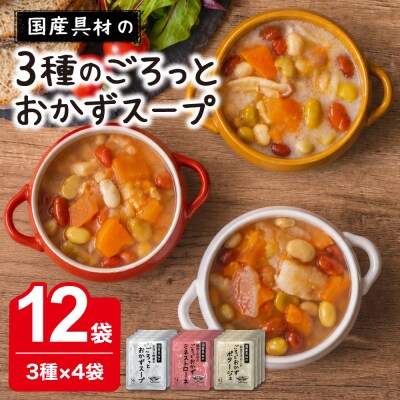 3種のごろっとおかずスープ　12袋(3種×4袋)　