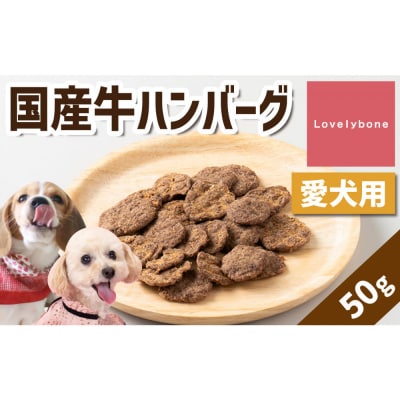 精肉店がこだわった【柔らかく食べやすい◎】国産牛ハンバーグ　50g