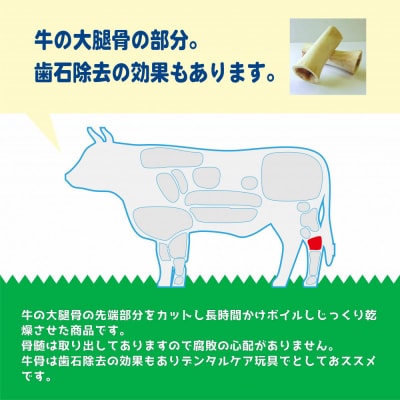 精肉店がこだわった 犬のおやつ【デンタル玩具としておすすめです!】国産牛ゲンコツ 1本