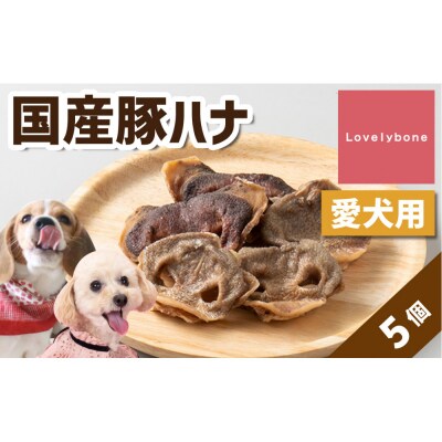 精肉店がこだわった　犬のおやつ【一頭に一つだけの超希少部位】国産豚ハナ　5個