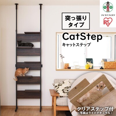 キャットステップ ウォールナット CATS-68