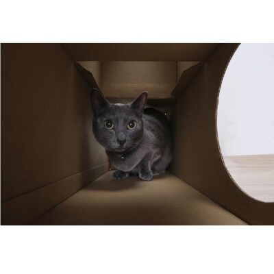 ねこねこトンネル　トンネルセット P-NTT