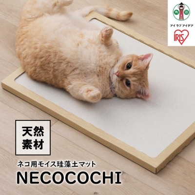 NECOCOCHI@NCC-45i`