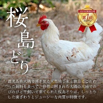 鹿児島県産　桜島どり(むね肉)2kg×2(計4kg)