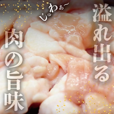 松阪牛 ホルモン I79