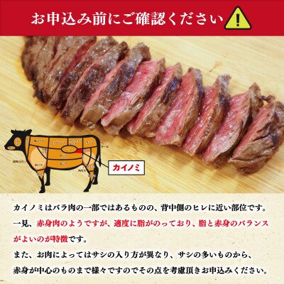 松阪牛 カイノミ ハーフ ステーキ I82