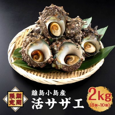 【期間限定】離島小島産 活サザエ2kg