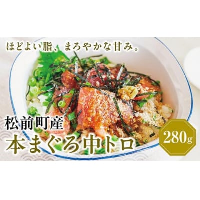 超低温冷凍　松前町産本マグロ中トロ 280g MATK026