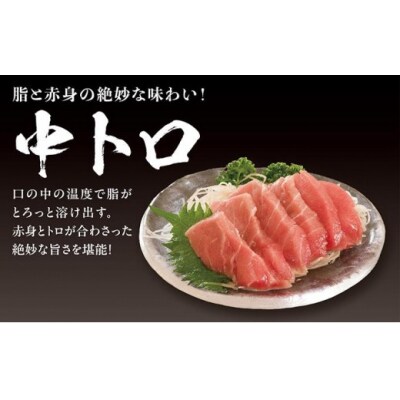 超低温冷凍　松前町産本マグロ中トロ 280g MATK026
