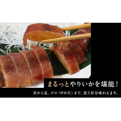 やりいか沖漬姿 1尾×2ケース MATK029