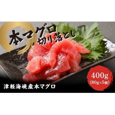 本マグロ切り落とし400g 1個 80g 小分け 赤身 トロ MATK037
