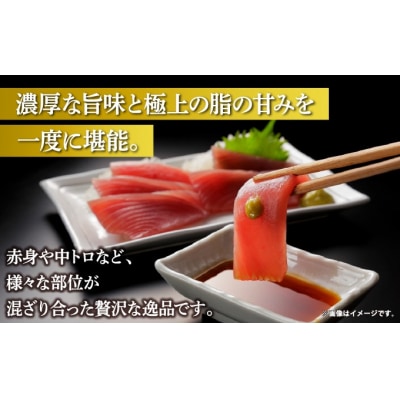 本マグロ切り落とし400g 1個 80g 小分け 赤身 トロ MATK037