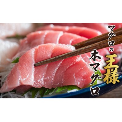 「松前至極」　天然本マグロ三種盛り(トロ・中トロ・赤身) MATB035