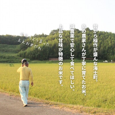 【定期便4ヵ月】計40kg!令和7年度新米きぬむすめ 10kg×4か月定期便 お米 新米 精米 白米