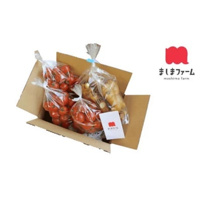 【毎年12月～7月頃まで発送】〈訳あり・規格外〉トマトと囲い生姜のセット ましまファーム