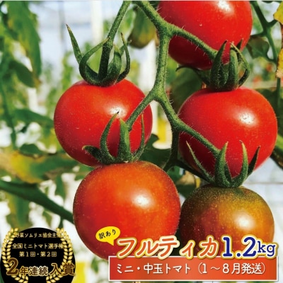 【2025年12月～発送】訳ありフルティカミニトマト <約1.2kg>フルーツトマト ましまファーム