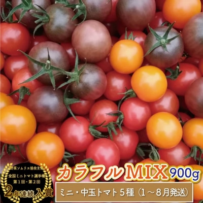 【2025年12月～発送】<900g>カラフルトマト5種MIX フルティカなど ましまファーム